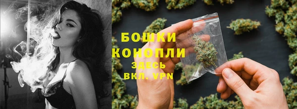 молекула духа Нефтегорск