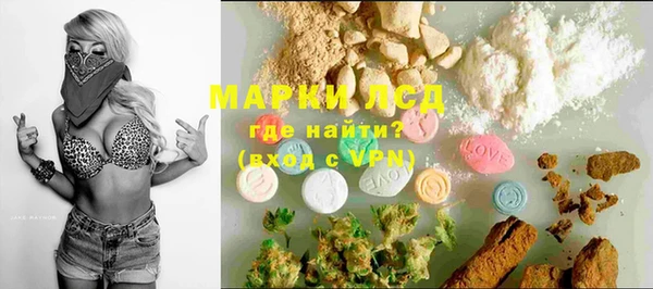 ПСИЛОЦИБИНОВЫЕ ГРИБЫ Абаза