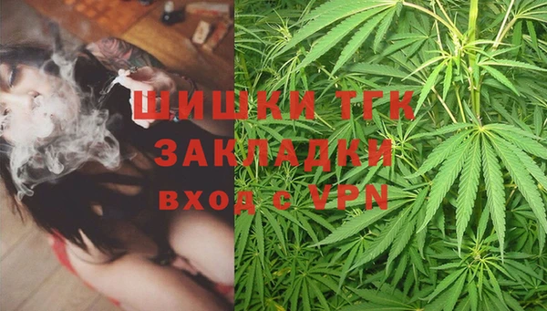 ПСИЛОЦИБИНОВЫЕ ГРИБЫ Абаза