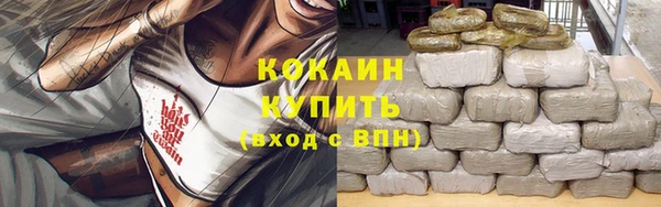 ПСИЛОЦИБИНОВЫЕ ГРИБЫ Абаза