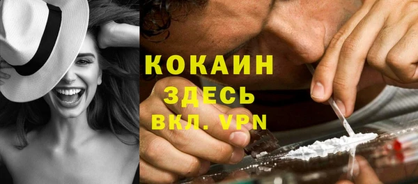 ПСИЛОЦИБИНОВЫЕ ГРИБЫ Абаза