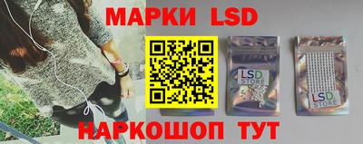 spice Кингисепп