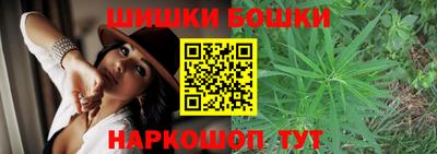 spice Кингисепп