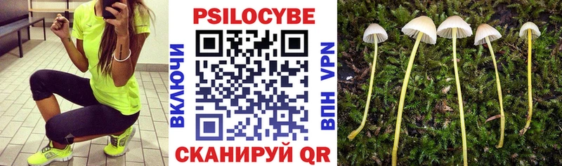 Галлюциногенные грибы GOLDEN TEACHER  Краснодар 