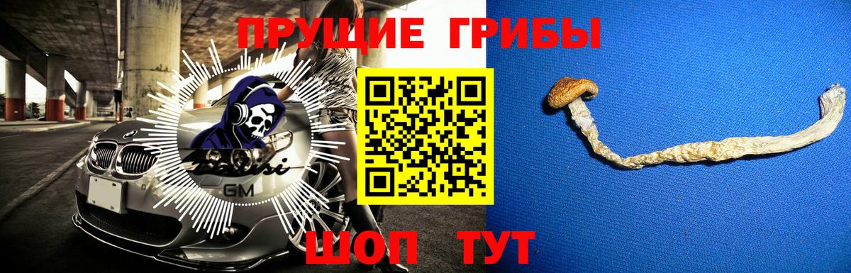 Псилоцибиновые грибы MAGIC MUSHROOMS Краснодар