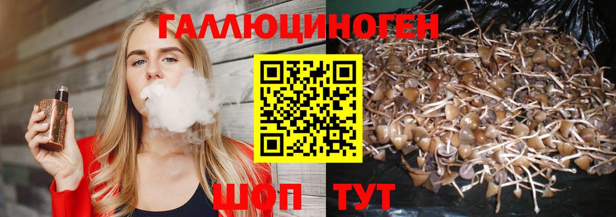 Псилоцибиновые грибы Psilocybine cubensis  Вход с VPN  Краснодар  Галлюциногенные грибы мухоморы 